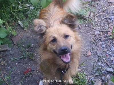 Кого из животных вы содержите? Фото приветствуется. - S6000127.JPG