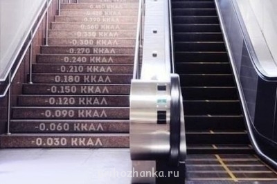 Худеющих флудильня - 5SceBRMT5YU.jpg