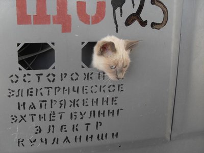 Кого из животных вы содержите? Фото приветствуется. - SDC14001.JPG