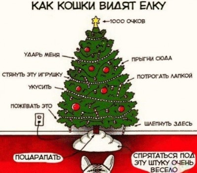 Cмешное из жизни животных. Фото и видео из интернета. - 4NG5_ZQ6_sE.jpg