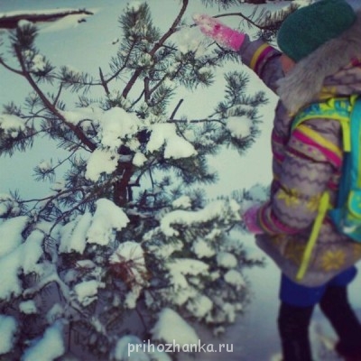 Чем сегодня занимались ваши дети? - 58957_original.jpg