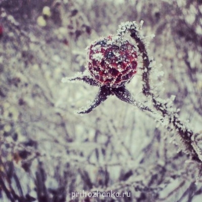 Поговорим о погоде - 60213_original.jpg