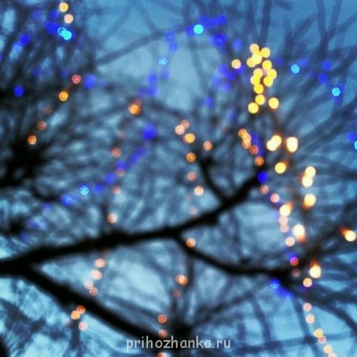 Поговорим о погоде - 59817_original.jpg