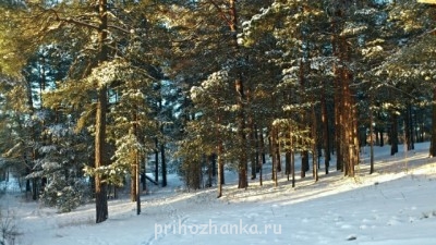 Поговорим о погоде - 60439_original.jpg