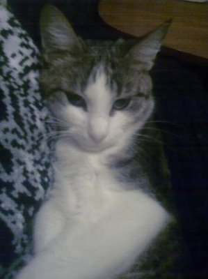 Кого из животных вы содержите? Фото приветствуется. - Фото0418.jpg