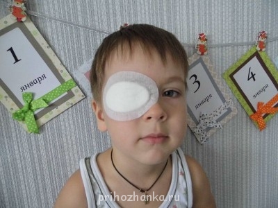 Украсим дом к Рождеству - P1000065.JPG