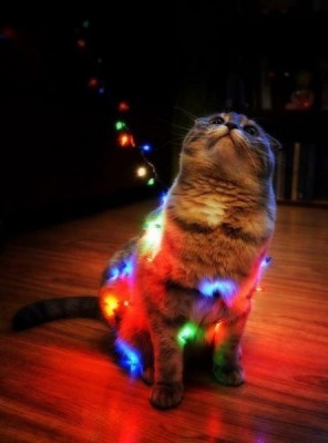 А у вас сейчас какое настроение? - 6MxL0z0G3M4.jpg