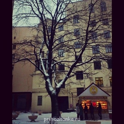 Чем сегодня занимались- 2 - 62537_original.jpg