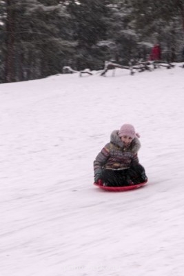 Чем занять школьников на каникулах - IMG_0145.JPG