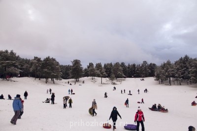 Чем занять школьников на каникулах - IMG_0165.JPG