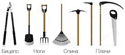 Из ВКонтактика с приветиком  - 1vdazM3laUM.jpg