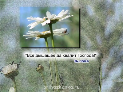 Из ВКонтактика с приветиком  - R6H-bf5nK-c.jpg