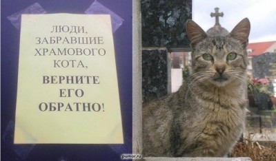 Из ВКонтактика с приветиком  - aaKeaX01YrY.jpg