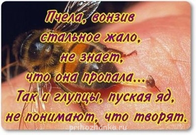 Любимые цитаты, высказывания, фразы - C7cxMib4hDU.jpg