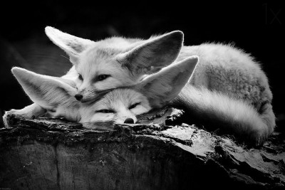 Из ВКонтактика с приветиком  - ubysDuPO27o.jpg