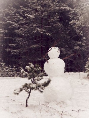 Поговорим о погоде - IMG_0134.JPG