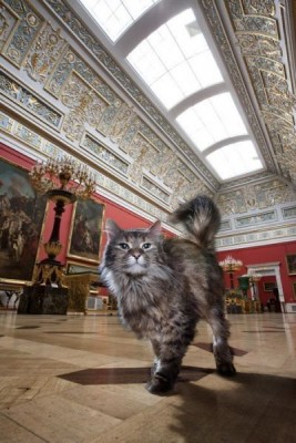 Санкт-Петербург. Афиша, путеводитель, наши рассказы - ZvT5_ZEbIP0.jpg