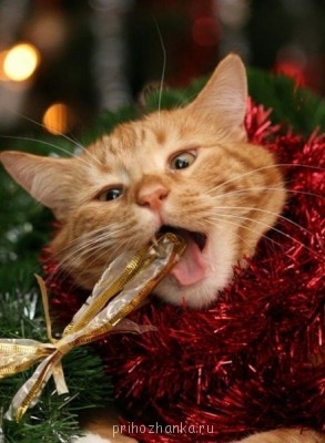 Аватарки. Наши интернет-лица - MsGMPJ7i3Iw.jpg