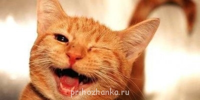 Аватарки. Наши интернет-лица - cMa7HO1bJ0Y.jpg