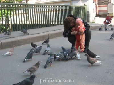 Санкт-Петербург. Афиша, путеводитель, наши рассказы - 192.JPG