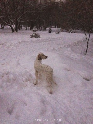 5 лет сегодня))