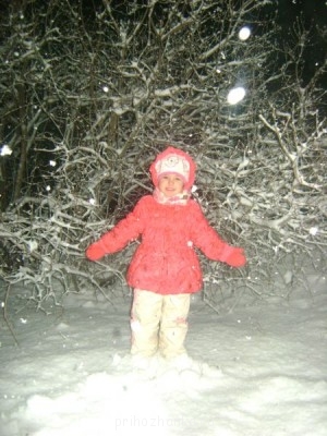 Зимняя сказка - DSC08581.JPG