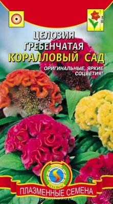 Чем сегодня занимались- 2 - 11460.970x0.jpg