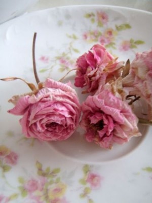 А у вас сейчас какое настроение? - eVQmU34TsT4.jpg