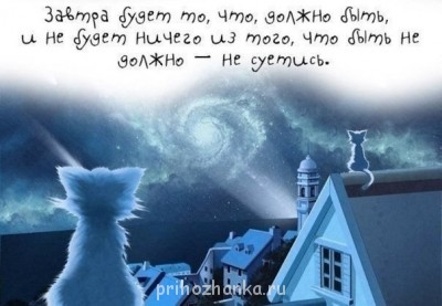 Любимые цитаты, высказывания, фразы - MItWc8oq5rA.jpg