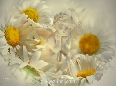 Беременные флудилки - 081т.jpg