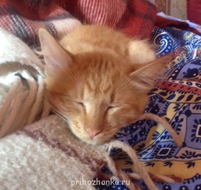 Поэзия - image.jpg