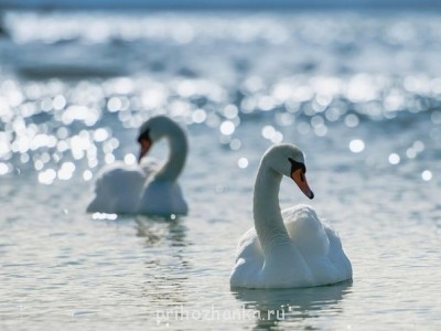 Душеполезное. - c (3).jpg