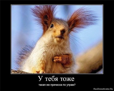 Из ВКонтактика с приветиком  - 9a82403ad112.jpg