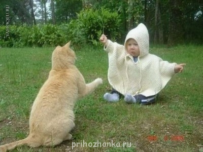 Смешные и милые, такие любимые - yahooeu_ru_18.jpg