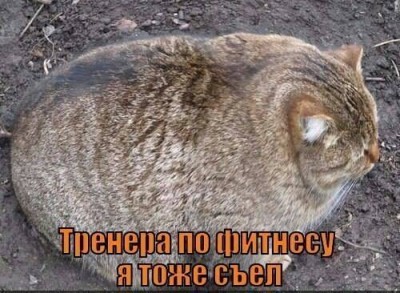 Женщина и спорт - 9914_535035066579576_1649436983_n.jpg