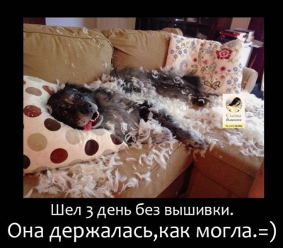  Рукодельный юмор - juRa-MlOe6o.jpg