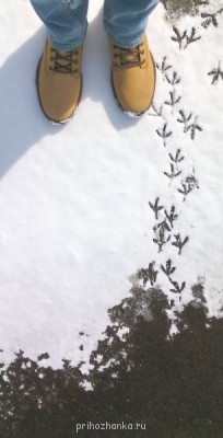 Обувь, обувь, обувь... - IMG_20150326_121924.jpg