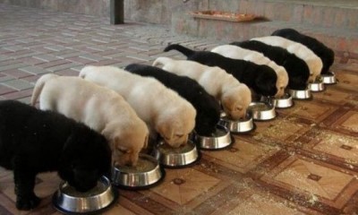 Это перфекционизм или что? - preview-650x390-650-1428048660.jpg