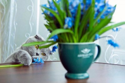 Доброго утра Хорошего дня Спокойной ночи  - ZIi1foDuG_4.jpg