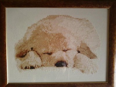 Вышивальные флудилки - P20-03-11_09.18.jpg