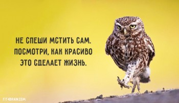 Из ВКонтактика с приветиком  - 0_180ec8_abc04f31_orig.jpg