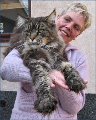 Кого из животных вы содержите? Фото приветствуется. - 318172890.jpg