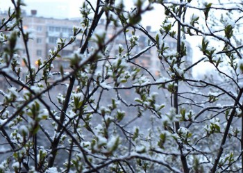 Поговорим о погоде - P1010086.JPG