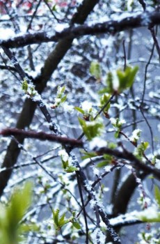 Поговорим о погоде - P1010068.JPG