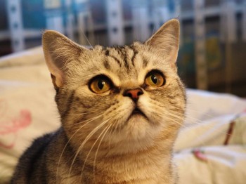 ..на неё можно смотреть вечно!