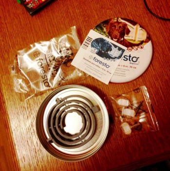 Клуб кинологов-любителей - FullSizeRender.jpg