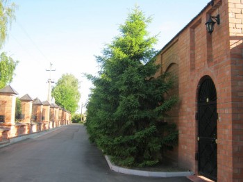 Покровский женский монастырь в Москве - IMG_0908.JPG