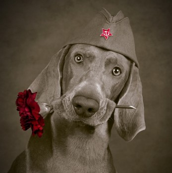 Аватарки. Наши интернет-лица-2 - 1878c68cf742.jpg