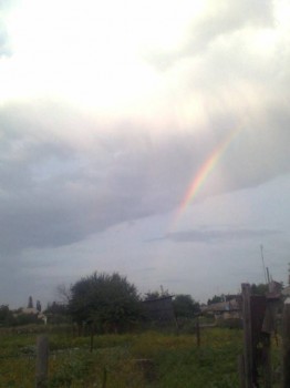 Мне бы в небо.. - Фото0283.jpg