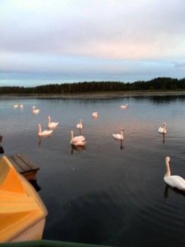 Мне бы в небо.. - IMG_20140819_203721.jpg